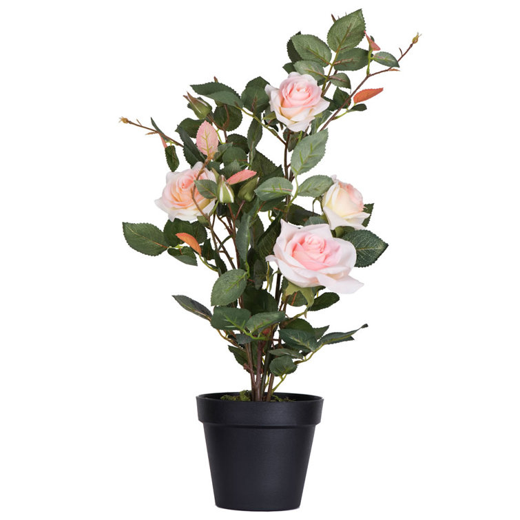 Primrue 21" Artificial Rose Plant in Pot Wayfair